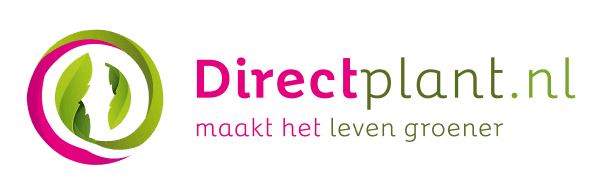 directplant.nl